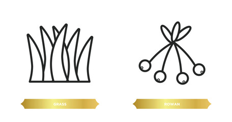 Wall Mural - two editable outline icons from autumn concept. thin line icons such as grass, rowan vector.