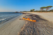 Paddleboard on a sandy beach in Biderosa Reserve, Sardinia, Italy