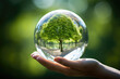 Person is holding glass ball with small tree inside. This unique and magical image can be used to symbolize growth, nature, and beauty of world within confined space.