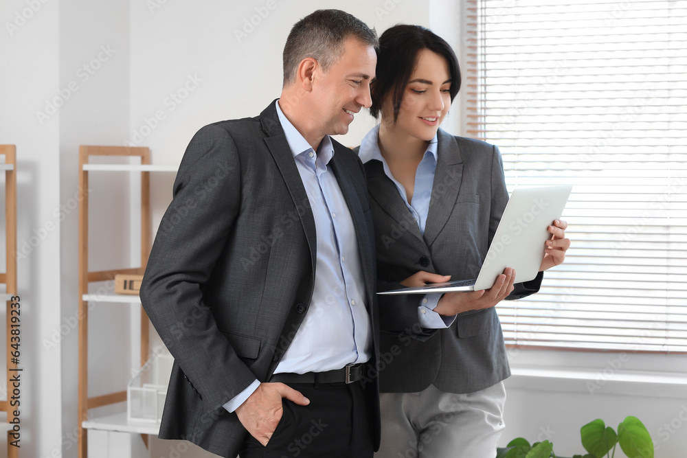 Business consultants working with laptop in office