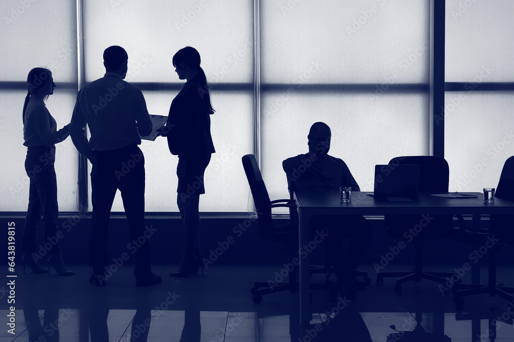 Silhouette of business consultants working in office