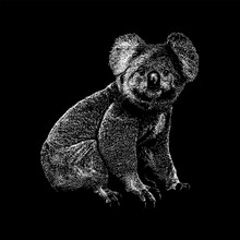 Koala Hand Drawing Vector Isolated On Black Background.