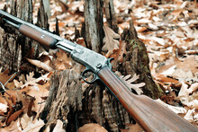 Old .22 Rifle In The Woods 