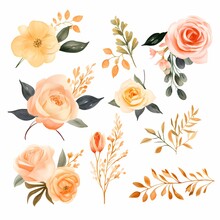 Unique Watercolor Floral Flowers Clipart For Wedding Card Minimal With White Background Isolated Separated Design