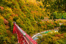 Autumn Leaves And The Trolley Car In Kurobe Gorge, Japan,Toyama Prefecture,Kurobe, Toyama
