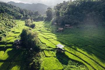 Poster - Rice terraces in rural forest with evening light,paddy field