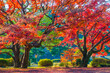 © amanaimages - Autumn colors in Rikugien, Japan,Tokyo,Bunkyo, Tokyo