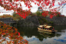 Autumn Leaves Of Osaka Castle, Japan,Osaka Prefecture,Osaka,Chuo-ku