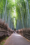 Fototapeta Dziecięca - A town where the typical Kyoto townscape surrounded by bamboo forests still remains【Arashiyama】