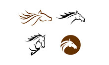 Set Of Vector Horse Head Logo Template