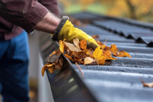 A Close Up Of Hands Removing Autumn Leaves On A Wet Roof. A Typical Task In Autumn Is Cleaning The Drains And Roofs From Leaves.
