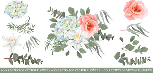 Wall Mural - Vector flower arrangement. White hydrangea, orchid, pink rose, eucalyptus, different leaves and plants. All elements of the composition are isolated on a white background . Vector illustration