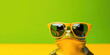 A frog wearing sunglasses in front of green background. Selective focus. With copy space.