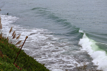 Waves on the shore