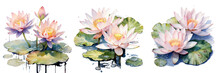 Watercolor Illustration Of Water Lilies With Dew Drops On Transparent Background