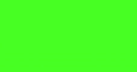 Computer mouse cursor click on green background, flat 4K animation.