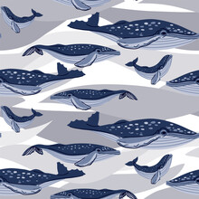 Cute Seamless Whale Pattern On White With Big Wave Spots. The Pattern Repeats A Blue And White Marine Animal With A Family. Children's Illustration Of A Humpback Whale Family. Printing On Textiles