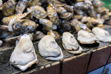 Canvas Print - Oyster for sale in wet market