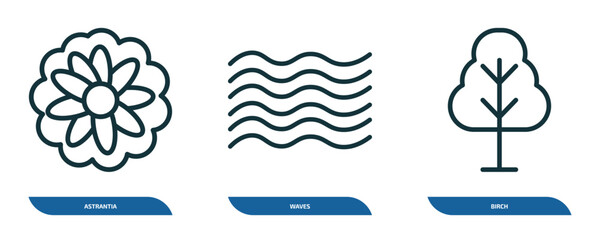 Wall Mural - set of 3 linear icons from nature concept. outline icons such as astrantia, waves, birch vector