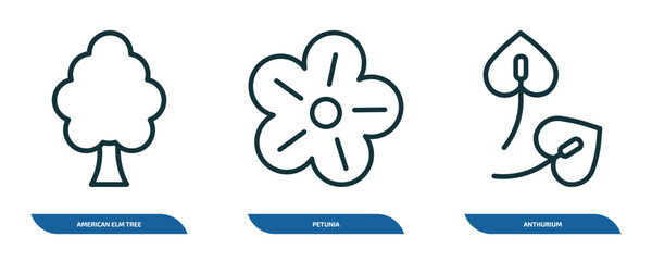 Wall Mural - set of 3 linear icons from nature concept. outline icons such as american elm tree, petunia, anthuri
