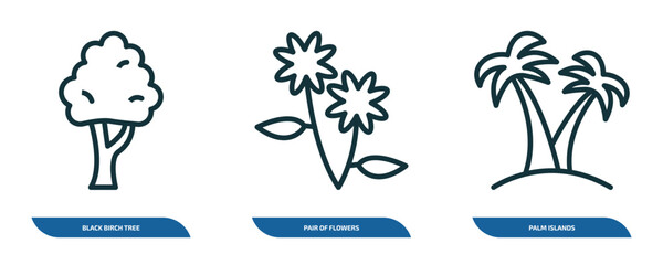 Wall Mural - set of 3 linear icons from nature concept. outline icons such as black birch tree, pair of flowers, 