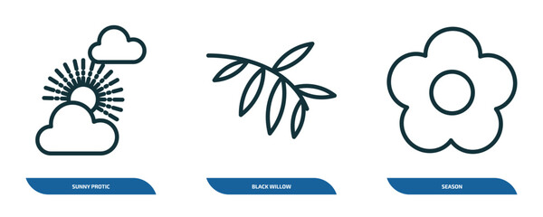 Wall Mural - set of 3 linear icons from nature concept. outline icons such as sunny protic, black willow, season 