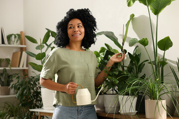 Canvas Print - Happy woman watering beautiful potted houseplants at home