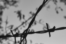 Barbed Wire Against A Sky - Prison - Old - Military - Security - Closeup - Rusted - Lines - Camp - Blurred - Black And White