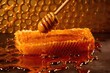 canvas print picture - close-up of honey dripping from honeycomb frame