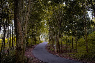 Kuningan West Java, the scenery is so beautiful and cool with lush trees that are still green 