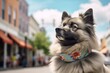 Photography in the style of pensive portraiture of a funny keeshond listening to music wearing a floral collar against a charming small town main street. With generative AI technology