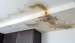 Ceiling Stain and Water-Damaged Roof due to Roof Leakage