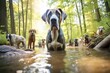 Medium shot portrait photography of a curious great dane playing with other dogs wearing a chef hat against a tranquil forest stream. With generative AI technology