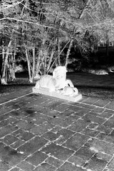 Poster - A dog statue in the park in black and white film negative.