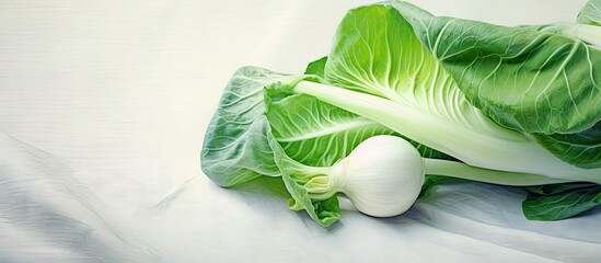 Wall Mural - Bok choy or pak choi on isolated pastel background Copy space en background with sack cloth packed with Vitamin C K and Calcium for strong bones