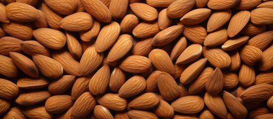 Wall Mural - Brown almonds on a isolated pastel background Copy space