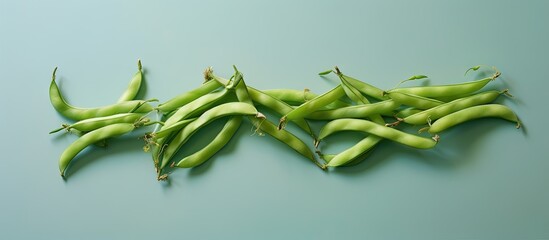 Aufkleber - Bean Alone on isolated pastel background Copy space