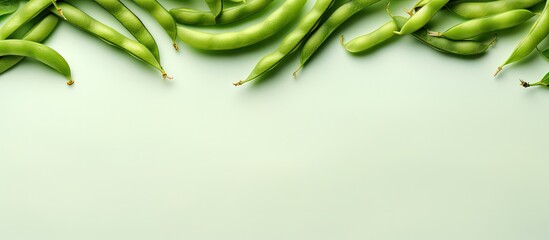 Aufkleber - Green beans on a isolated pastel background Copy space