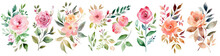 Set Of Hand Painted, Elegant Watercolor Flowers Beautiful, Romantic Hand Painted , Watercolor Blush Floral Clipart ,Botanical Plant Illustration Transparent Background, PNG ,Generative AI