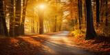 Fototapeta Natura - Bright Sun In Autumn Forest ,light rays fall landscape tree,Fantasy Background Magic Forestbeautiful Autumn Landscape