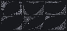 Spider Web Vector Background Art Set