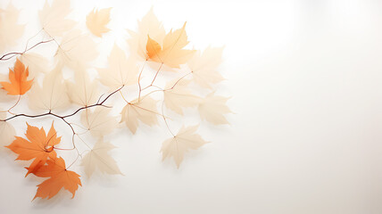 Wall Mural - white background with copy space yellow autumn leaves layer postcard.