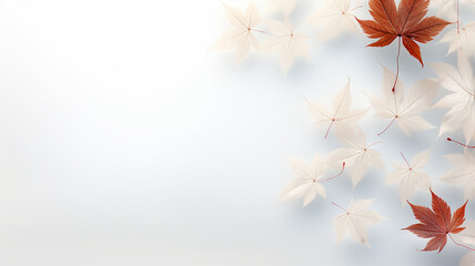 Wall Mural - white background with copy space yellow autumn leaves layer postcard.