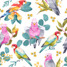 Cockatoo Parrot Seamless Pattern With Eucalyptus Leaves And Flowers On White Background. Australian Tropical Animal And Plant Hand Drawn Illustration For Fabric, Wrapping, Wallpaper, Textile, Apparel