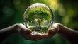 Human hand holding glass ball with tree inside. Environment conservation concept. High quality photo,generative AI