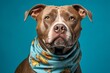 Lifestyle portrait photography of a funny staffordshire bull terrier wearing a bandana against a teal blue background. With generative AI technology