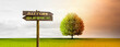© by-studio - Jahreszeitenwechsel von Sommer zu Herbst