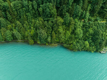 Aerial View Of Green Trees Along The Brienzersee Lake Coastline, Bern, Switzerland.