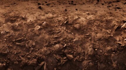 Plowed brown, red earth, soil. Autumnal harvest, fields being plowed. Agriculture, close-up of a plowed, rough dirt. Harvest.