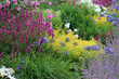 Mixed herbaceous perennial flower bed